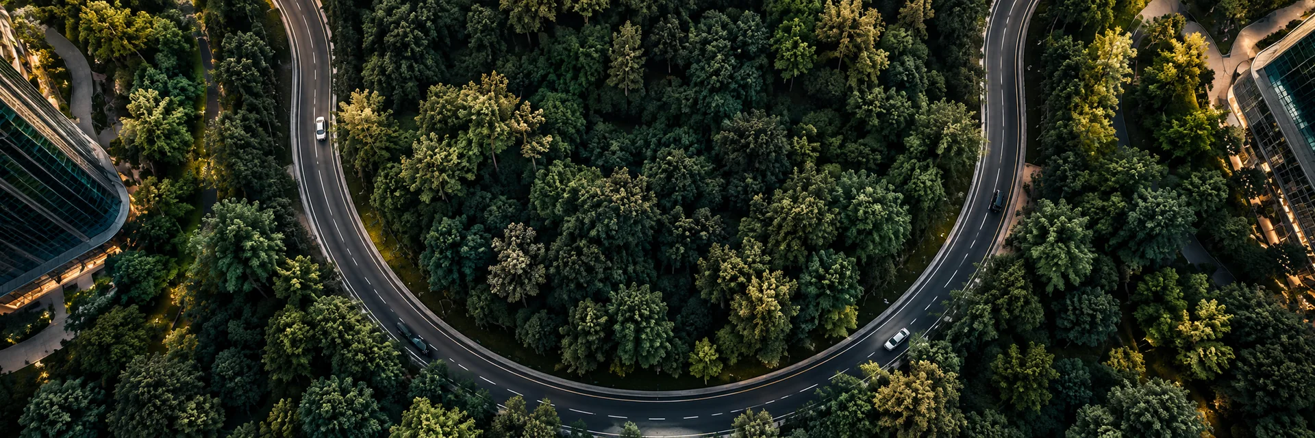 Aerial view of a forest loop road and city architecture